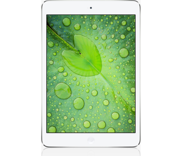 Apple iPad mini retina 16GB silver - 161922 - zdjęcie
